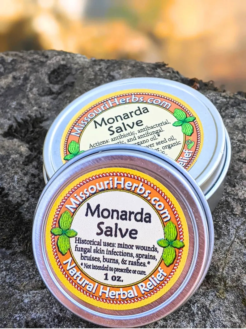 Monarda Antimicrobial & Antifungal Salve – Wildcrafted Herbal Remedy Missouri Herbs