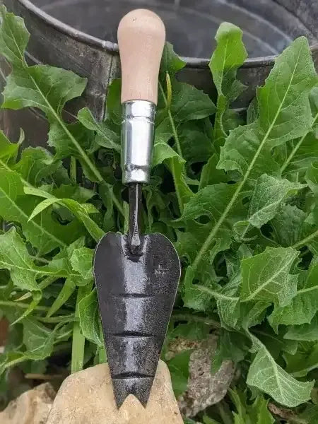 Multi-Purpose Trowel, Hand Forged Garden Tool by Homestead Iron with chicory leaf background on stone