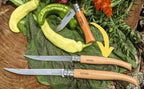 Opinel knives with wooden handles on a wooden surface with green leaves and flowers.