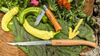 Opinel knives on a wooden surface with green leaves and vegetables